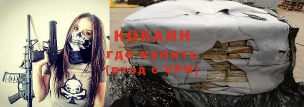 сатива Бердск