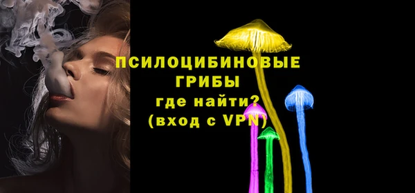 сатива Бердск