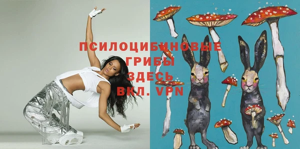 сатива Бердск