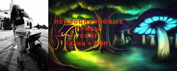спиды Нея