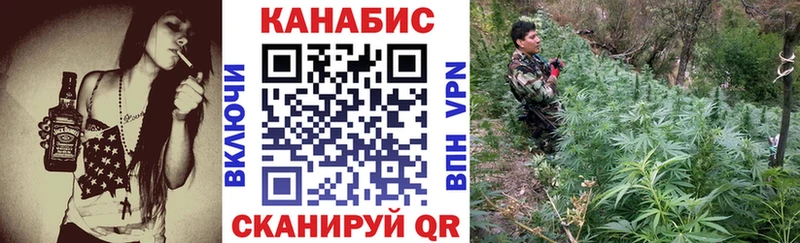 Канабис MAZAR Калач